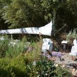 TourdSoCal_1_0023 (September 11, 2015)